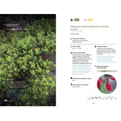 Guia Prático da Flora Nativa dos Açores