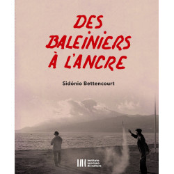 Grounded Whalers / Des Baleiniers à l'Ancre