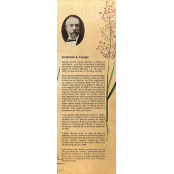 Viagens geológicas aos Açores / Voyages géologiques aux Açores